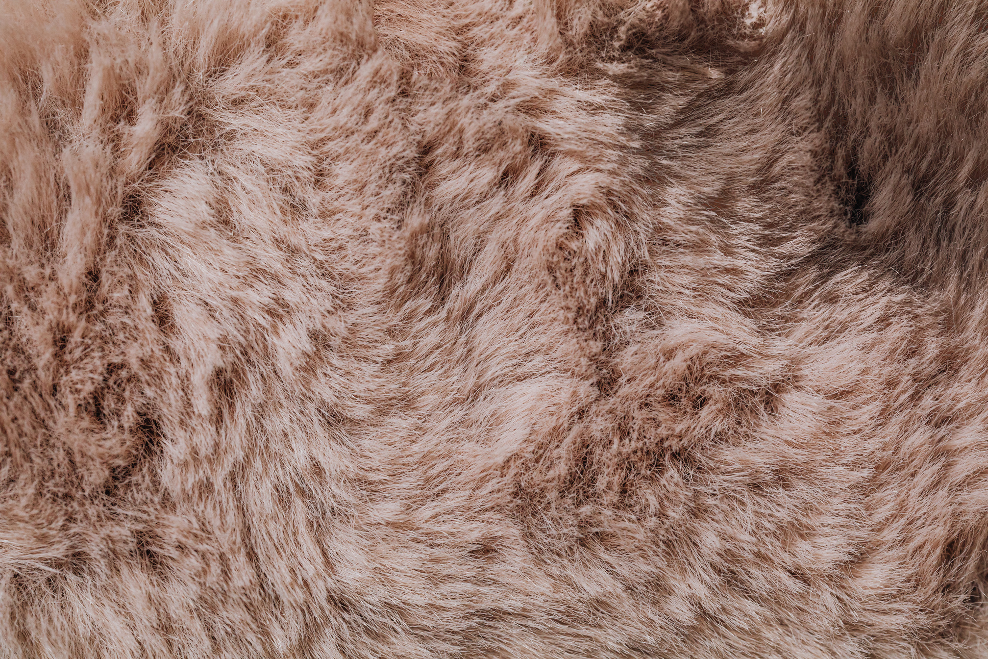 Close up of Fur